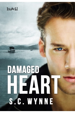 Damaged Heart book cover