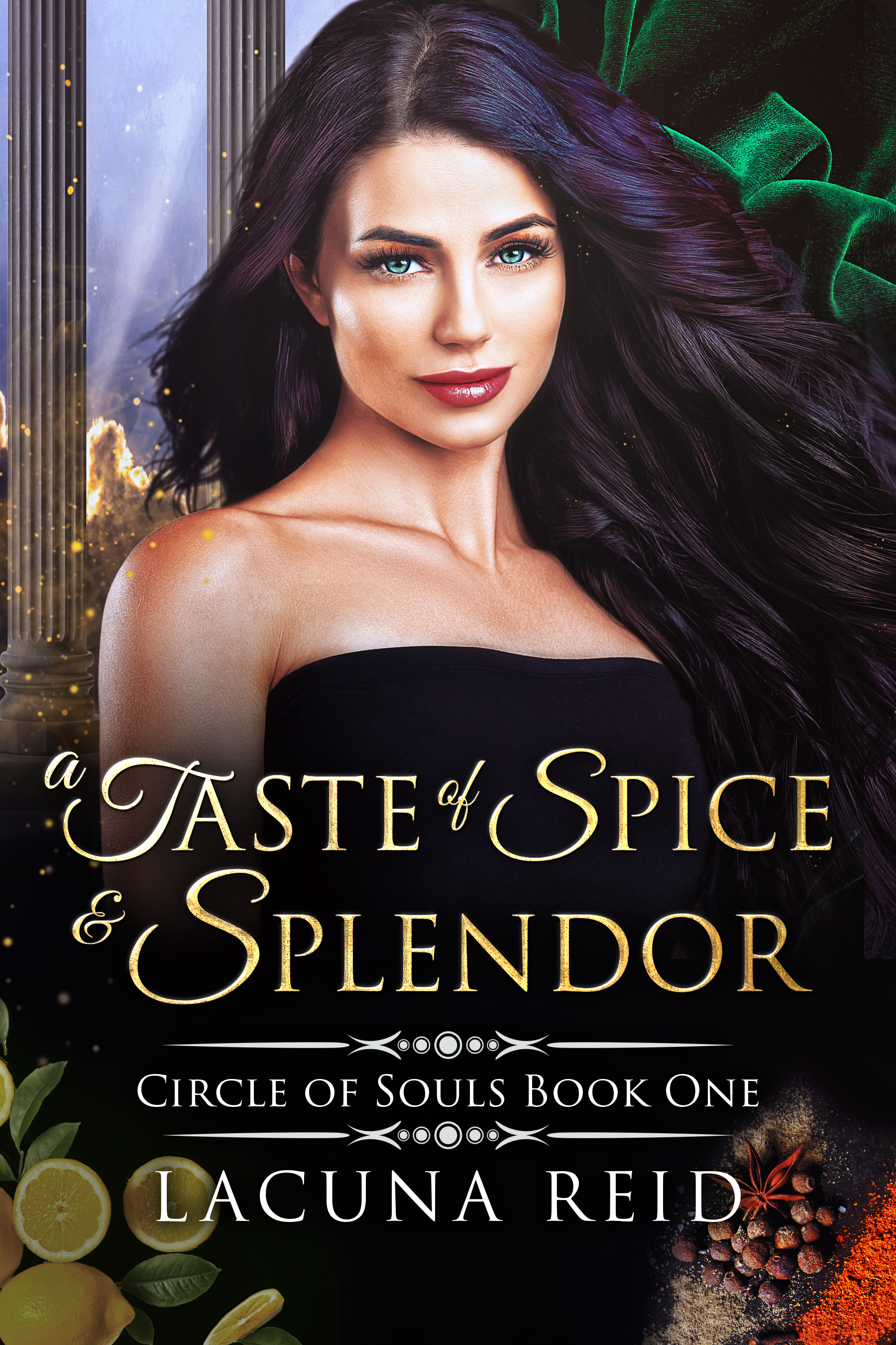 Circle of Souls book cover 1