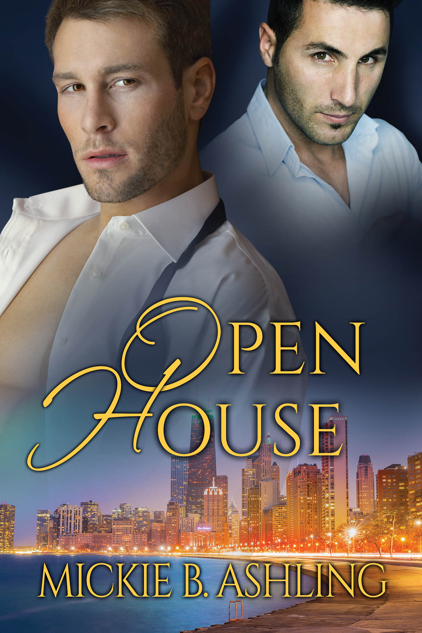 Open book cover 2