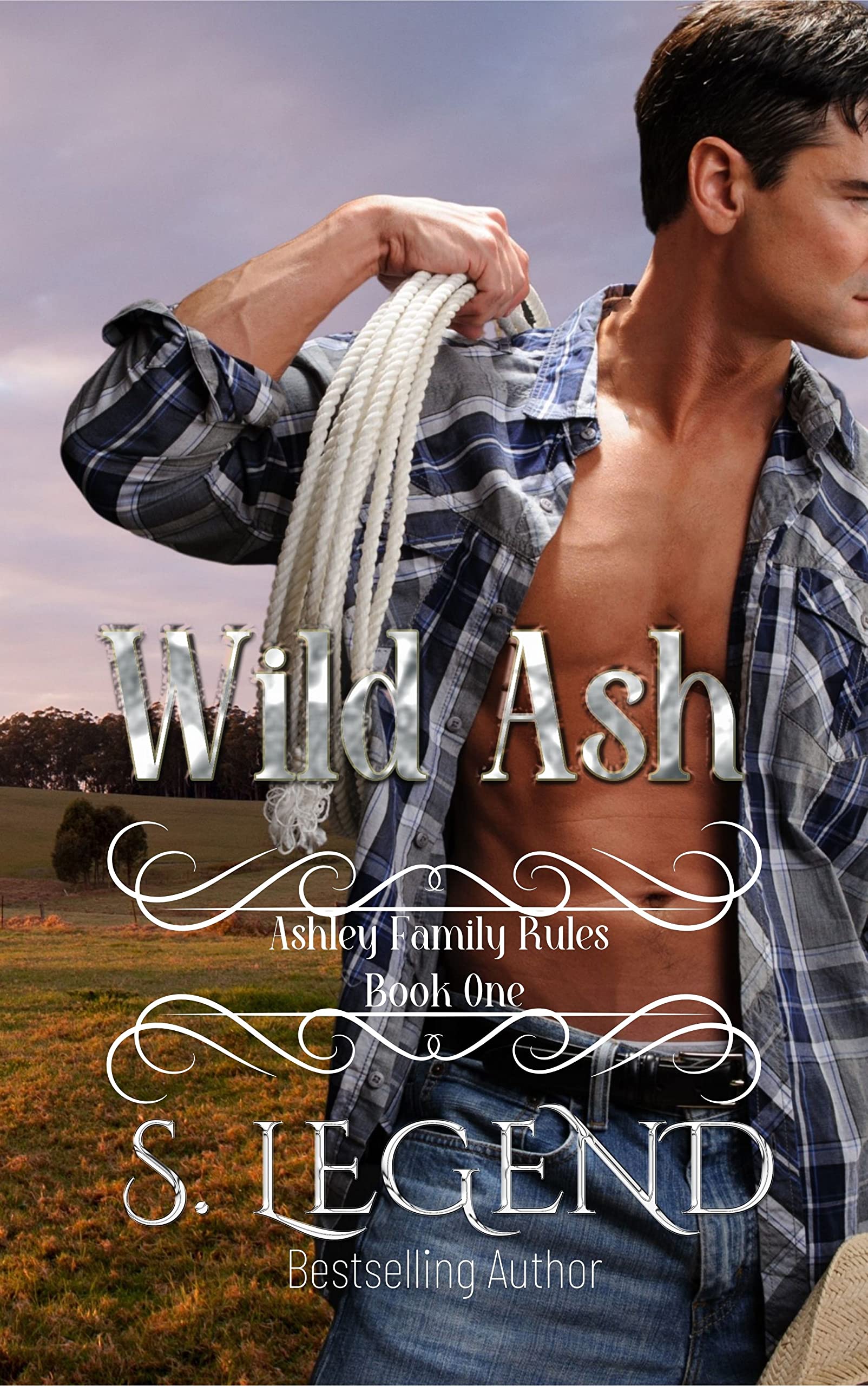 Ashley Family Rules book cover 1