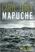 Mapuche book cover