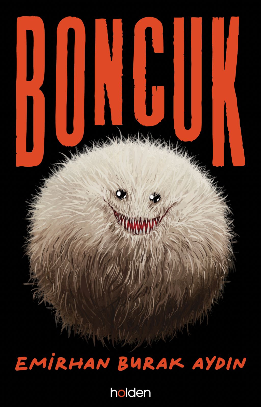 Boncuk book cover