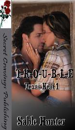 Texas Heat book cover 1