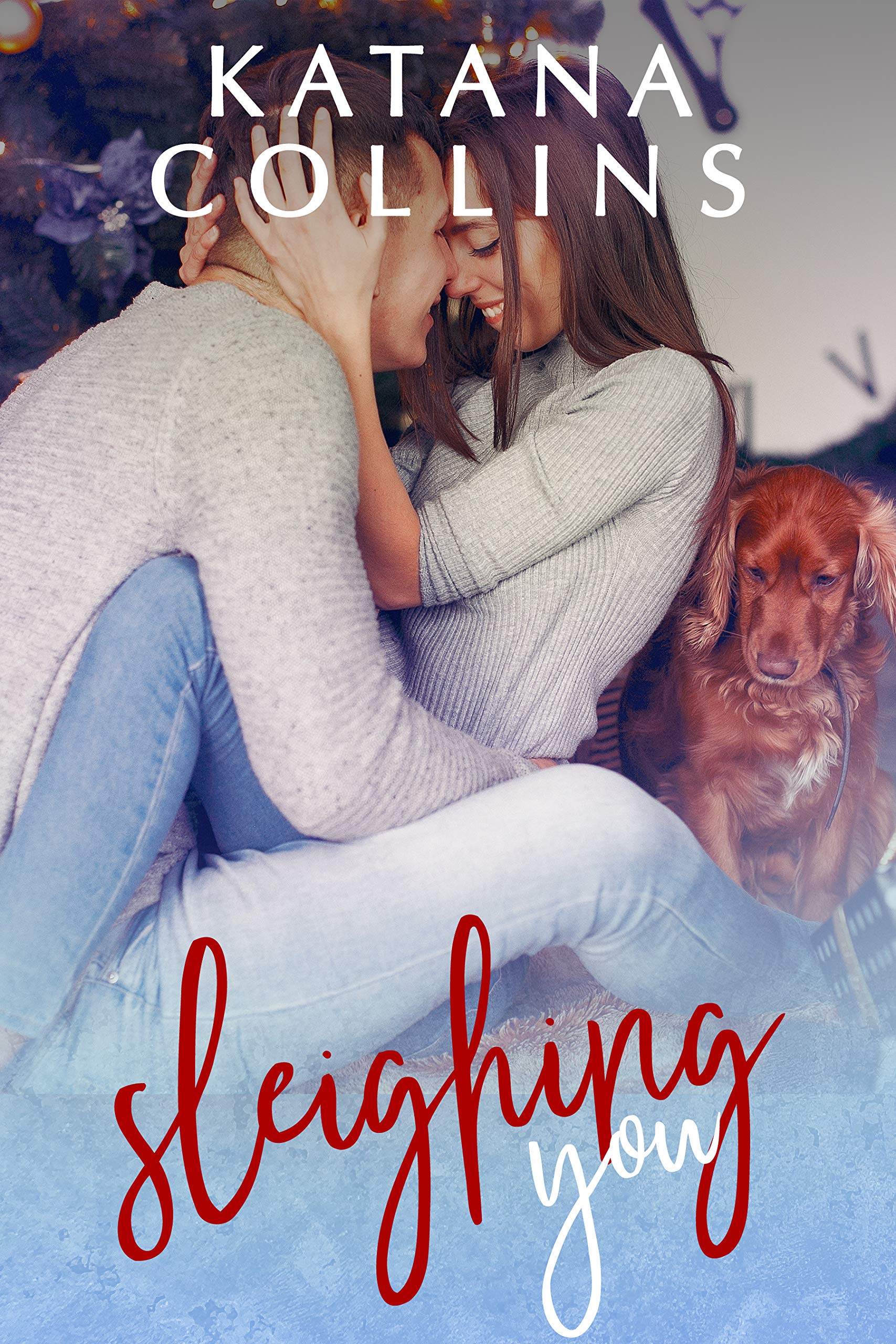 Sleighing You book cover