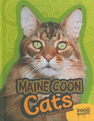 Maine Coon Cats book cover