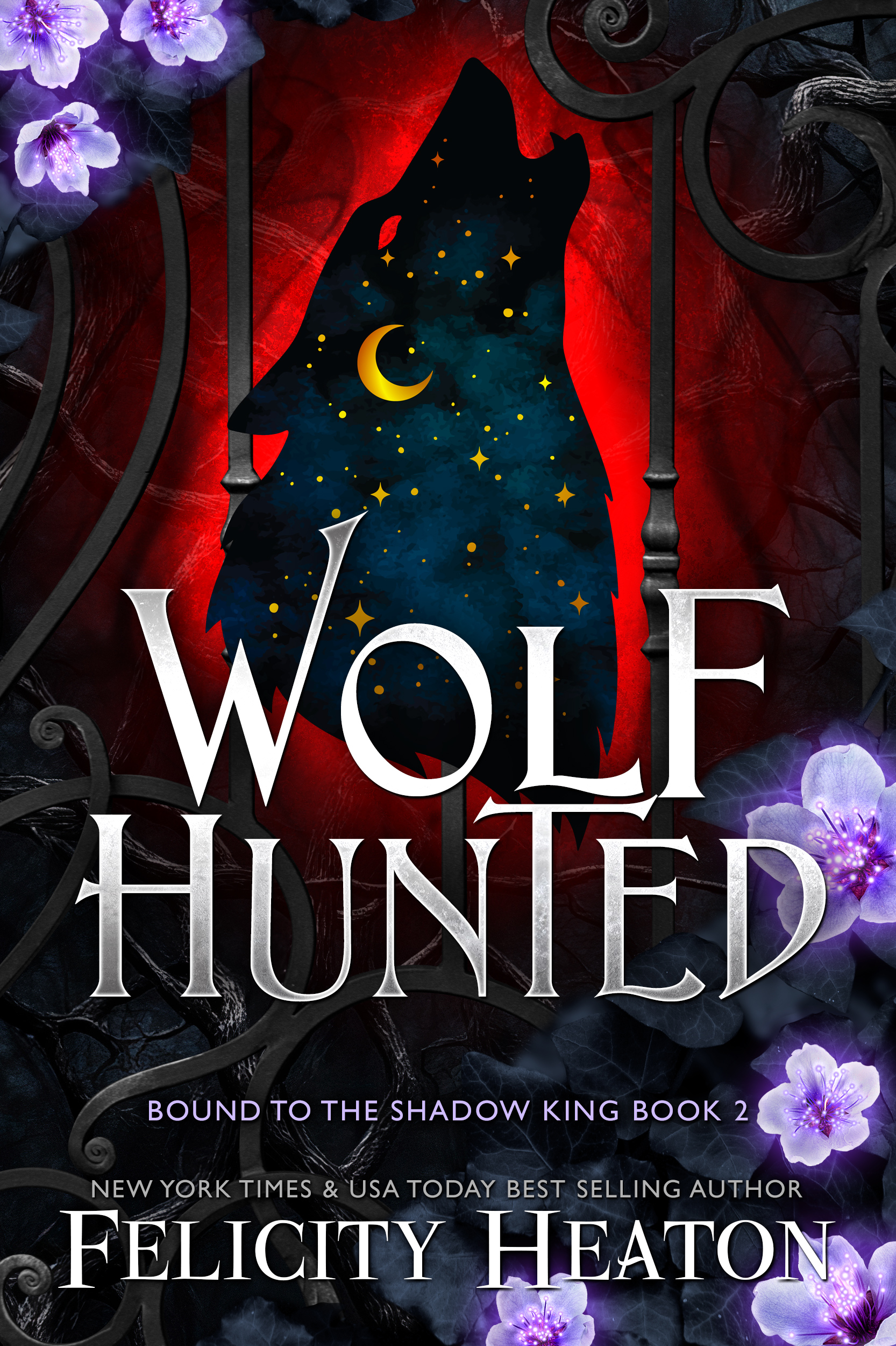 Bound to the Shadow King book cover 2