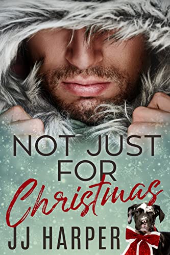 Not Just For Christmas book cover