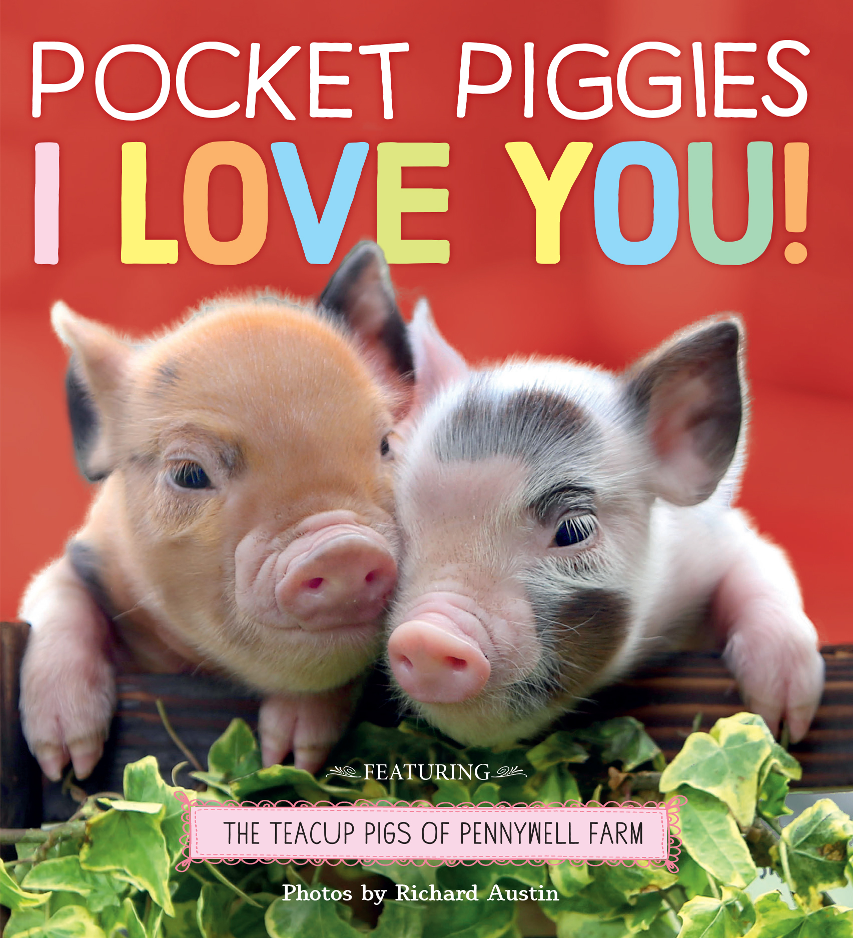 Pocket Piggies book cover