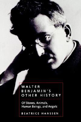 Walter Benjamin's Other History book cover