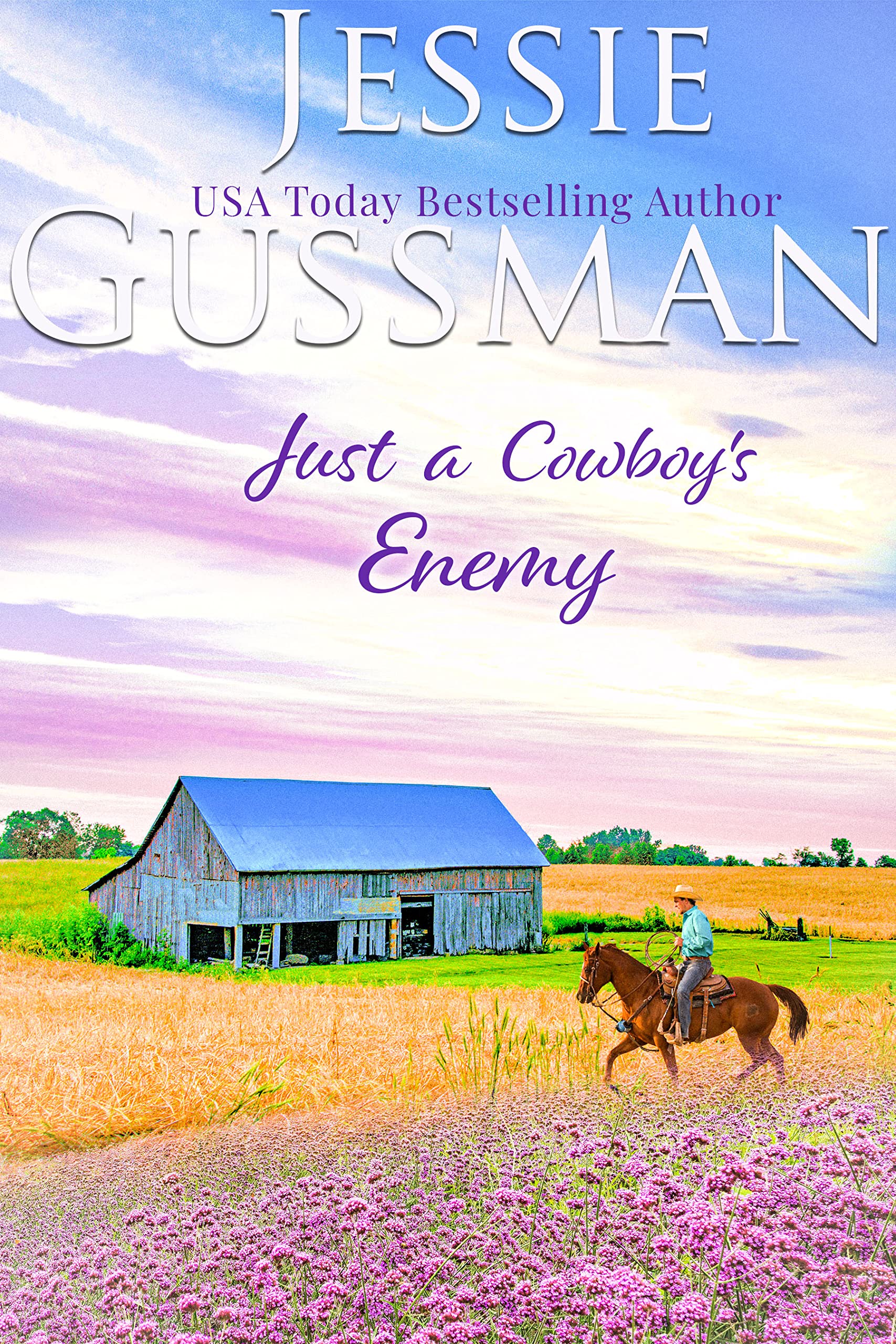 Flyboys of Sweet Briar Ranch in North Dakota book cover 2