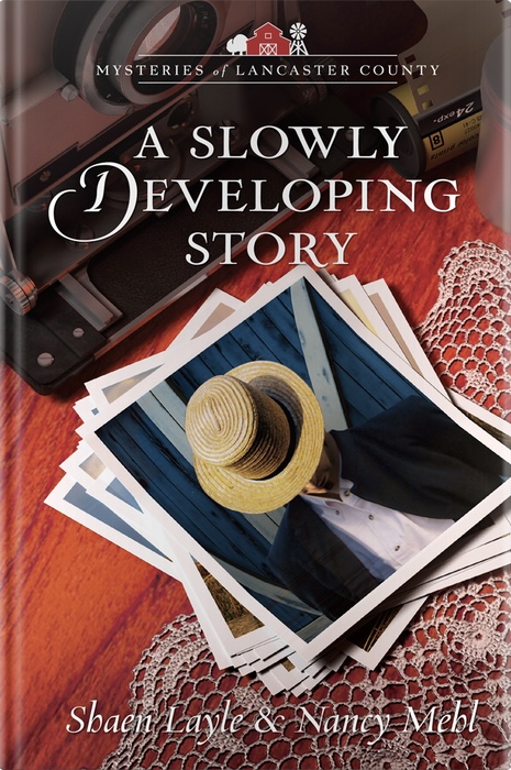 A Slowly Developing Story book cover