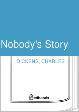 Nobody's Story book cover