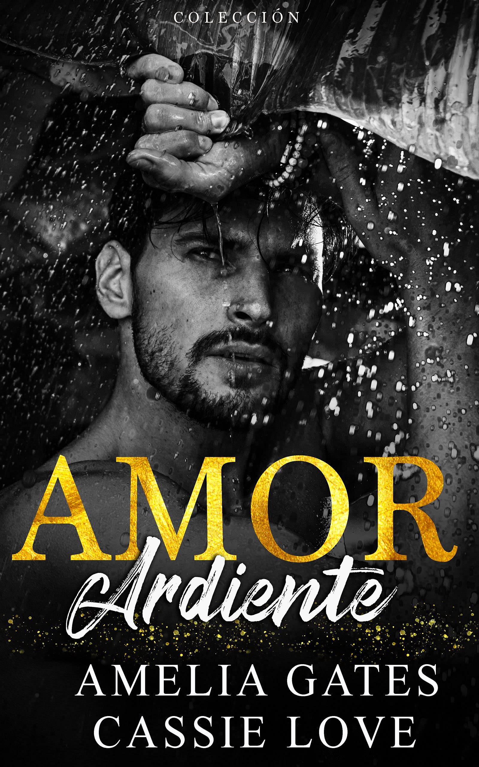 Amor Ardiente book cover