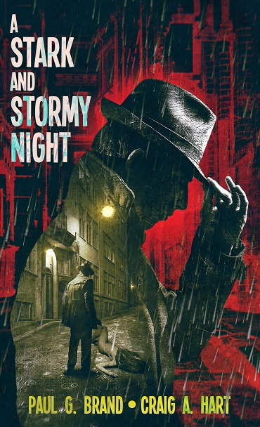 A Stark and Stormy Night book cover