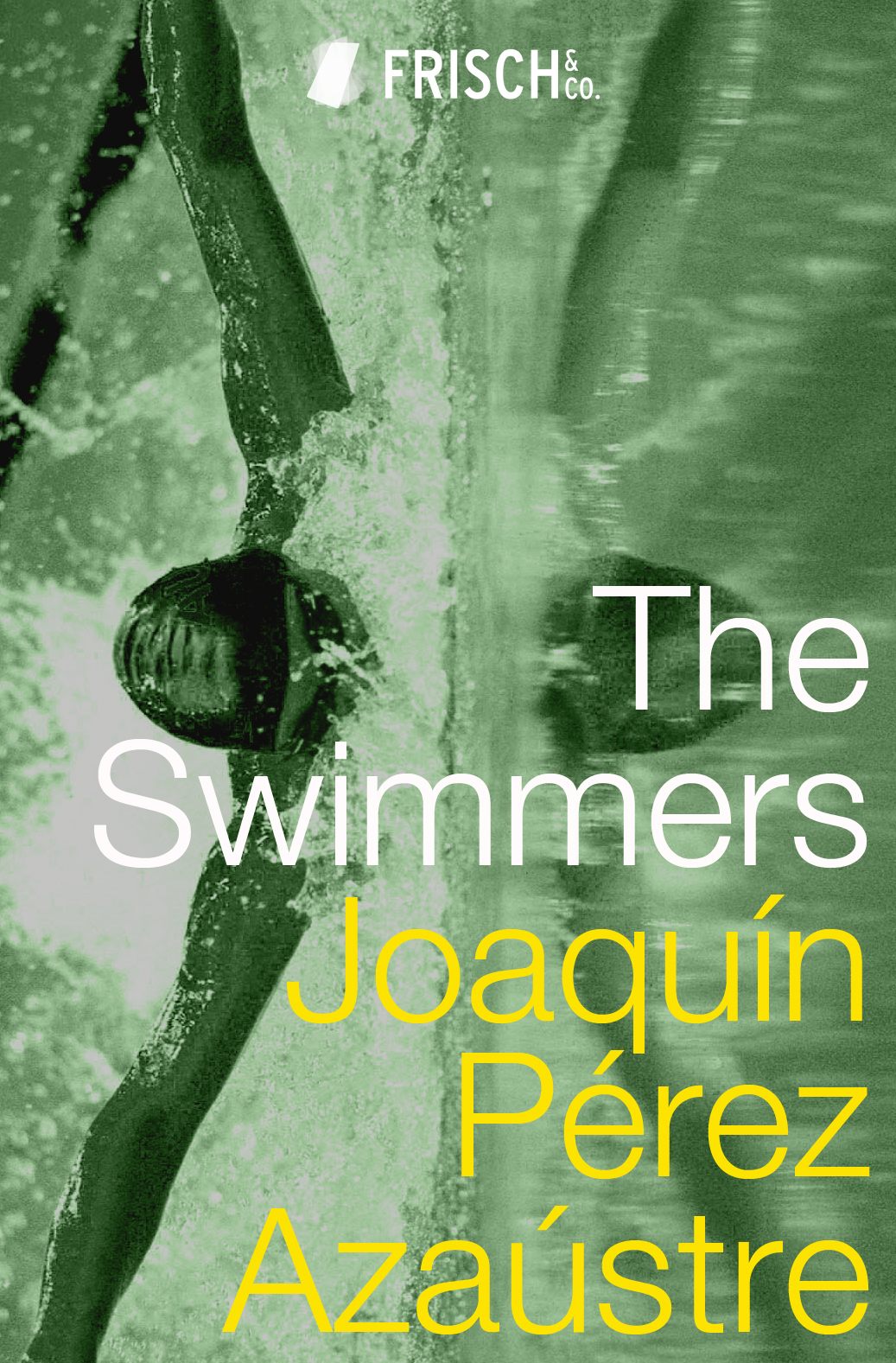 The Swimmers book cover
