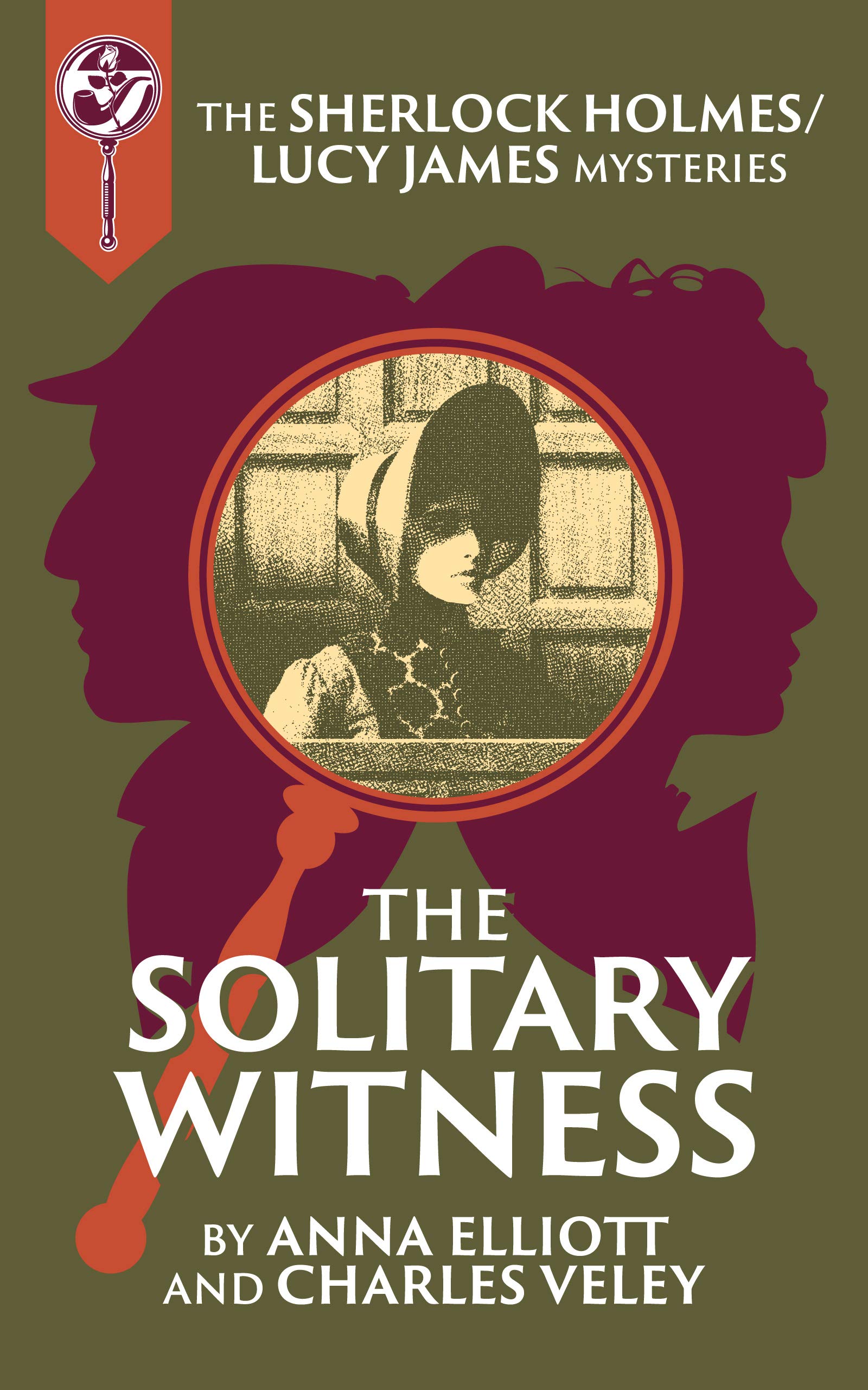 The Solitary Witness book cover