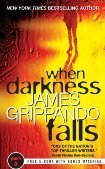 When Darkness Falls book cover