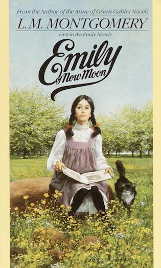 Emily book cover 1