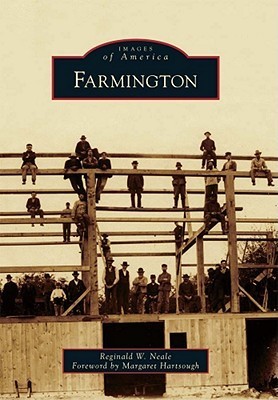 Farmington book cover
