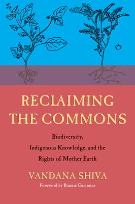 Reclaiming the Commons book cover