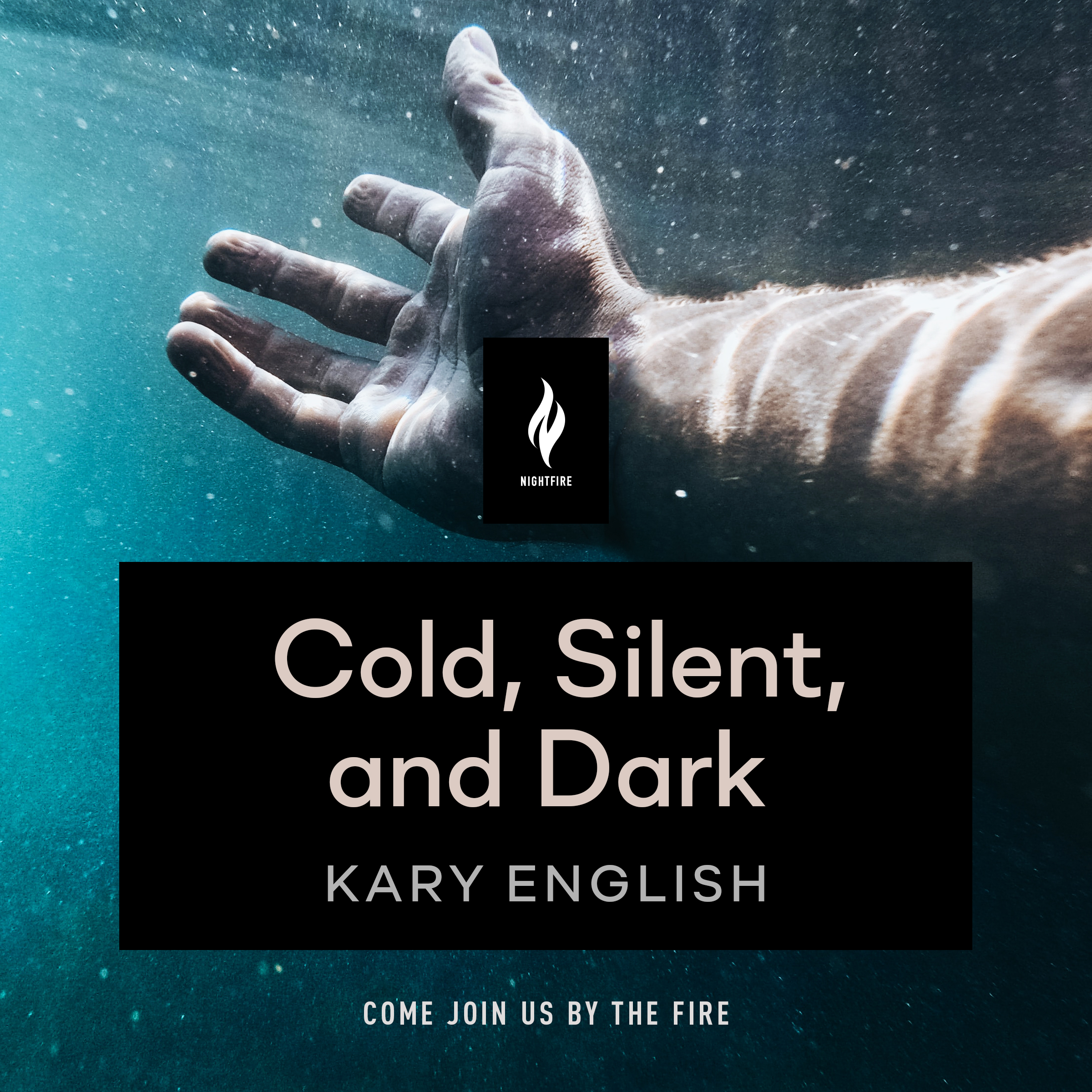 Cold, Silent, and Dark book cover