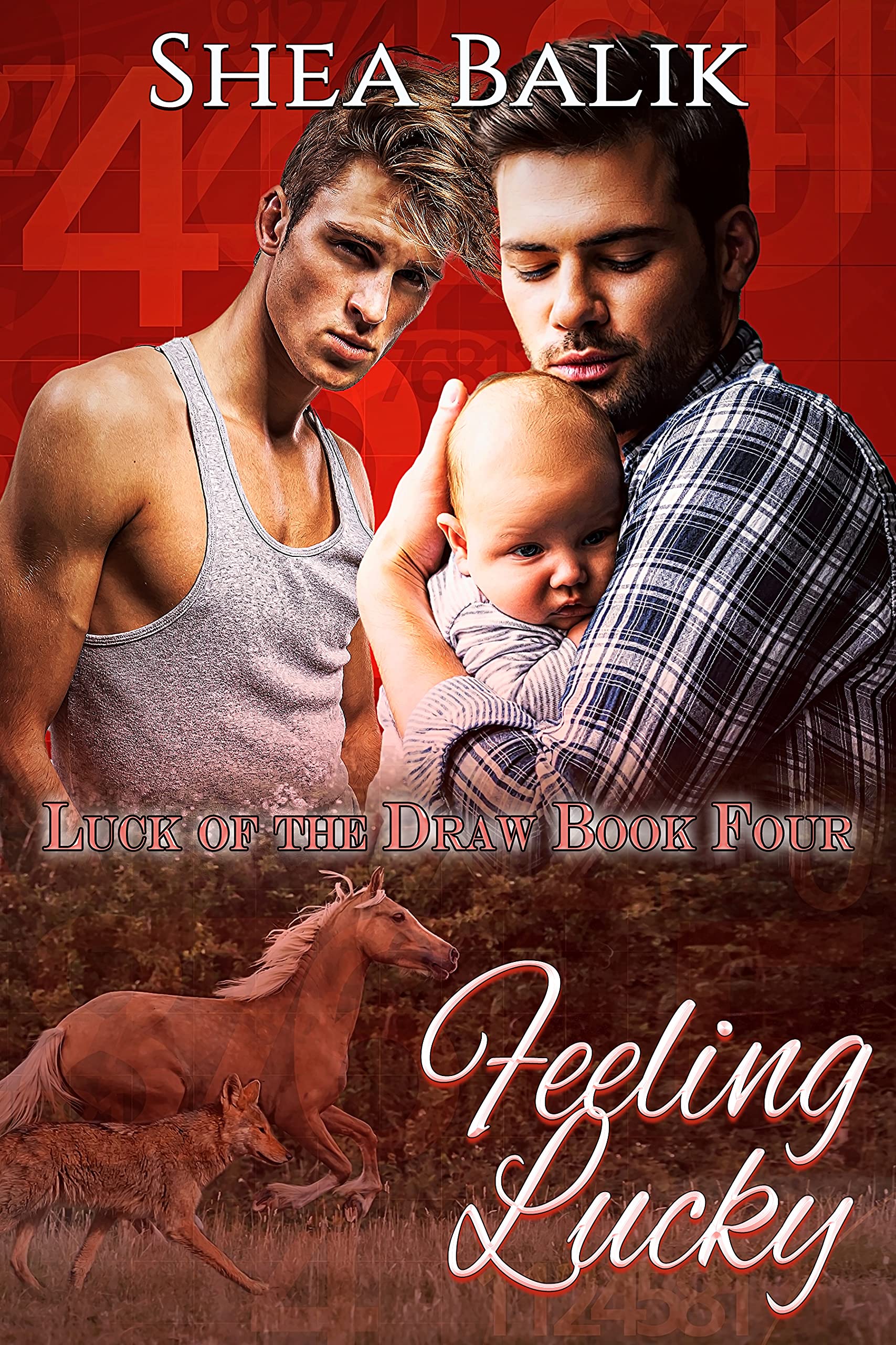 Feeling Lucky book cover