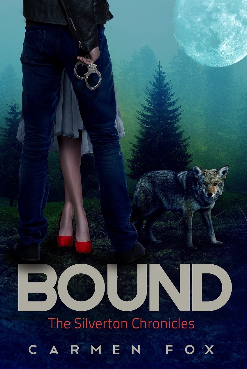 The Silverton Chronicles book cover 2