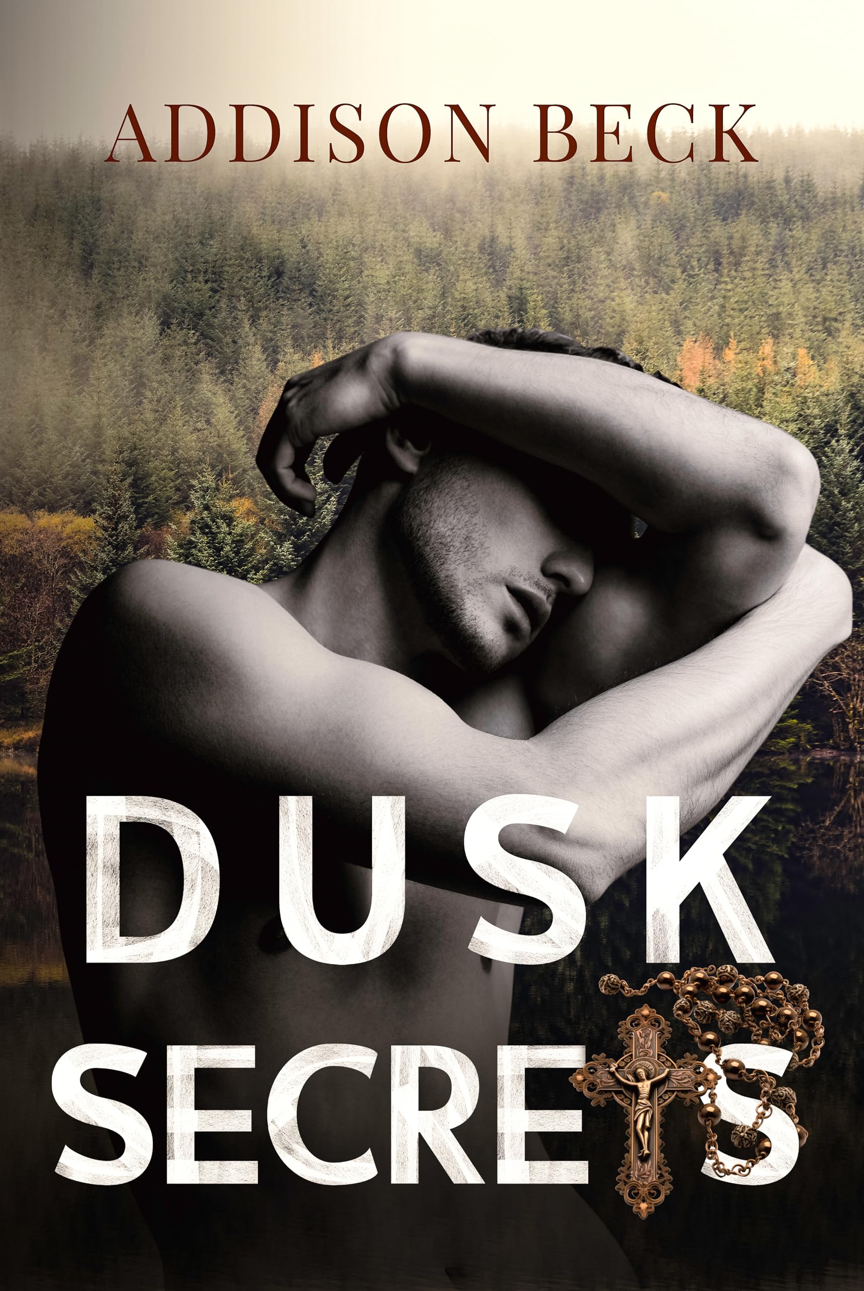 Dusk Secrets book cover