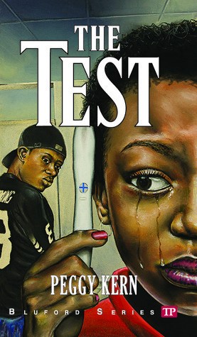 The Test book cover