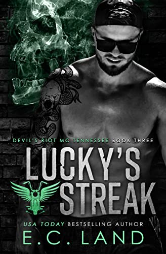 Devil's Riot MC Tennessee book cover 3