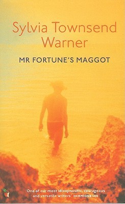 Mr Fortune's Maggot book cover