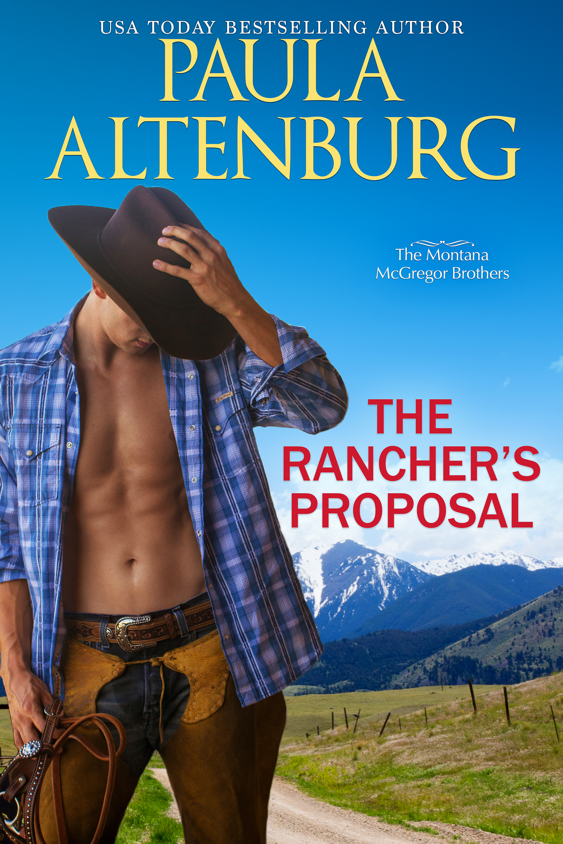 The McGregor Brothers of Grand, Montana book cover 3