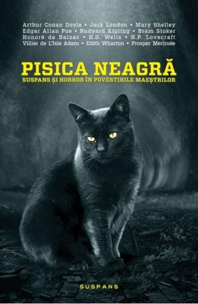 Pisica Neagra book cover