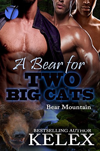 A Bear for Two Big Cats book cover