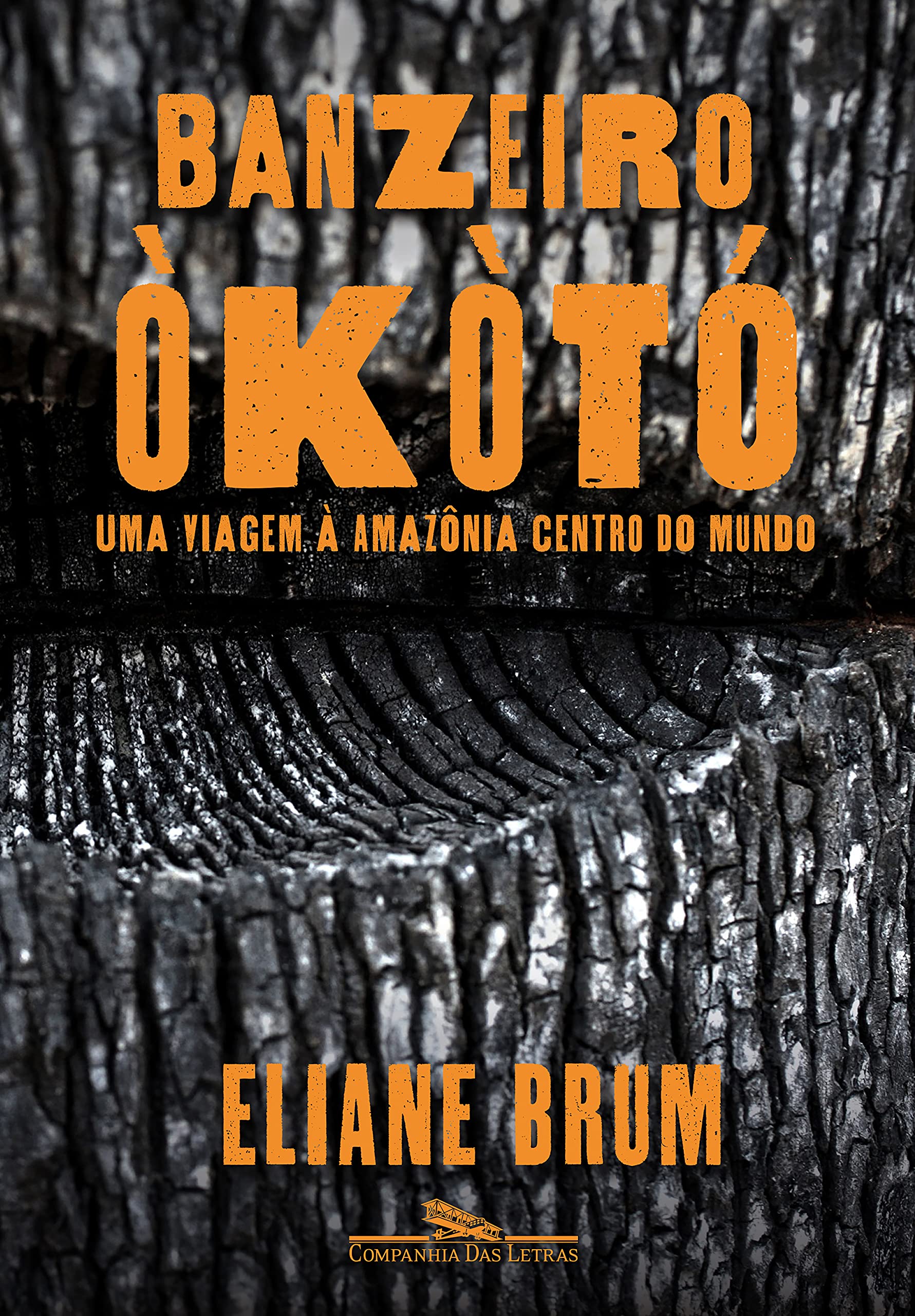 Banzeiro òkòtó book cover