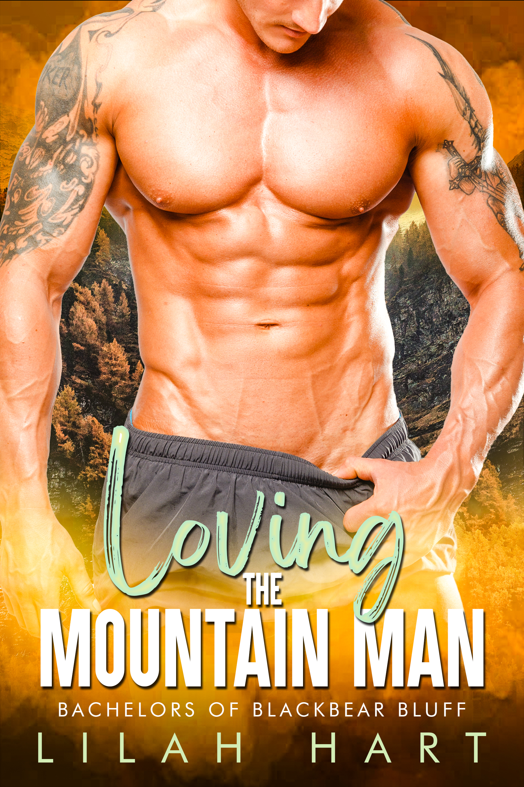 Bachelors of Blackbear Bluff book cover 2