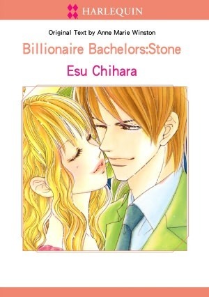 Stone book cover