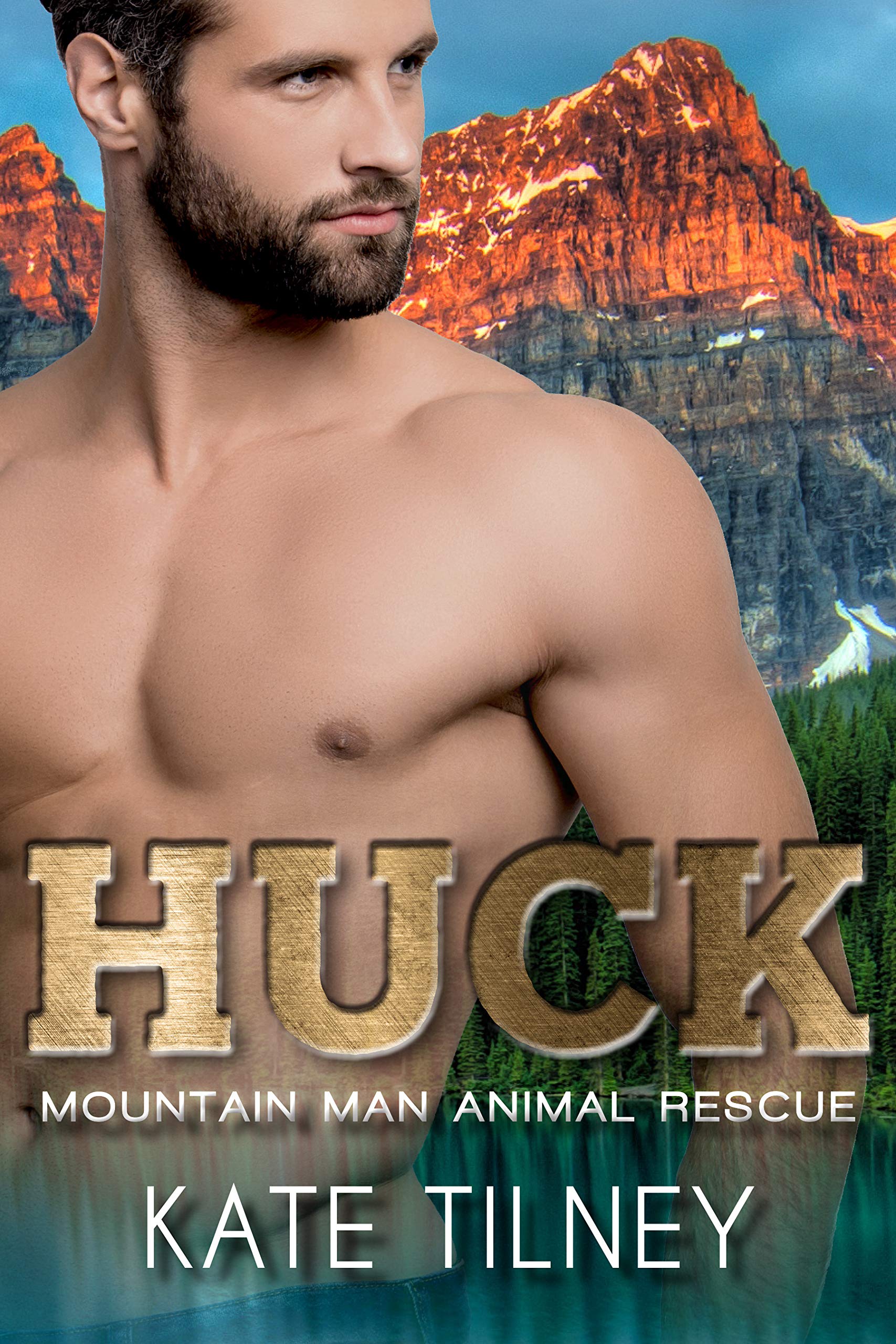 Huck book cover