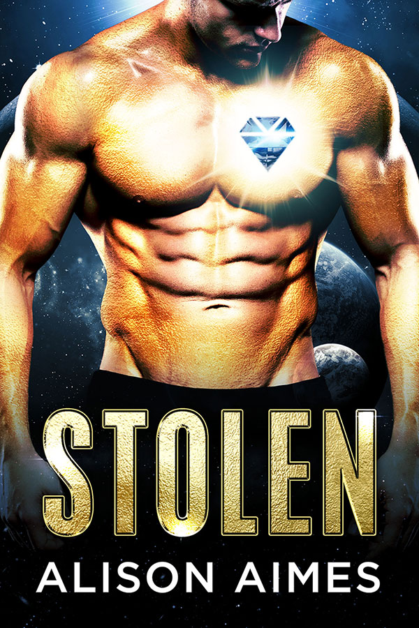 Stolen book cover