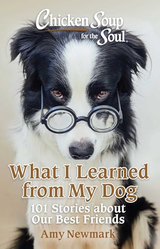 Chicken Soup for the Soul book cover