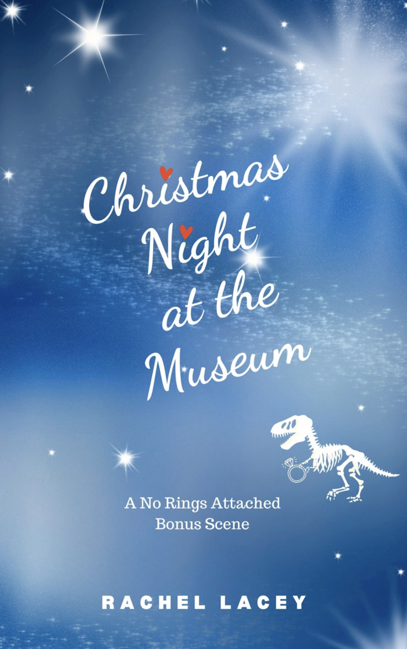 Christmas Night at the Museum book cover
