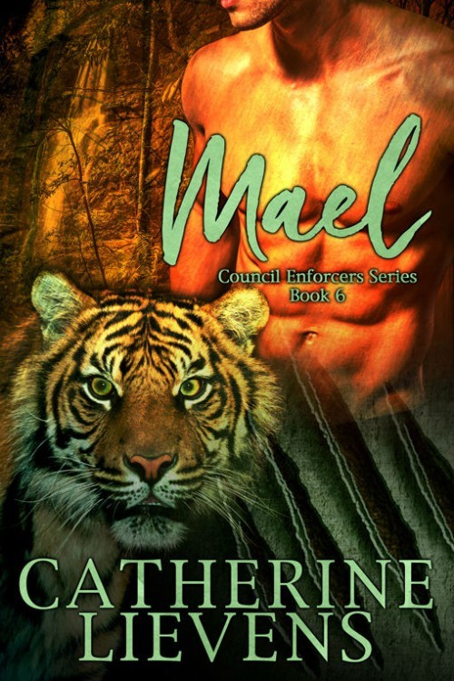 Mael book cover