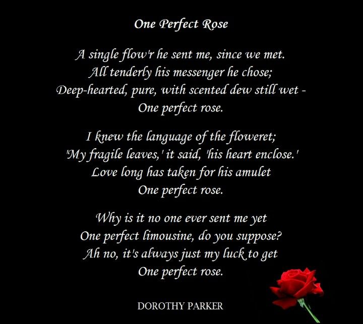 One Perfect Rose book cover
