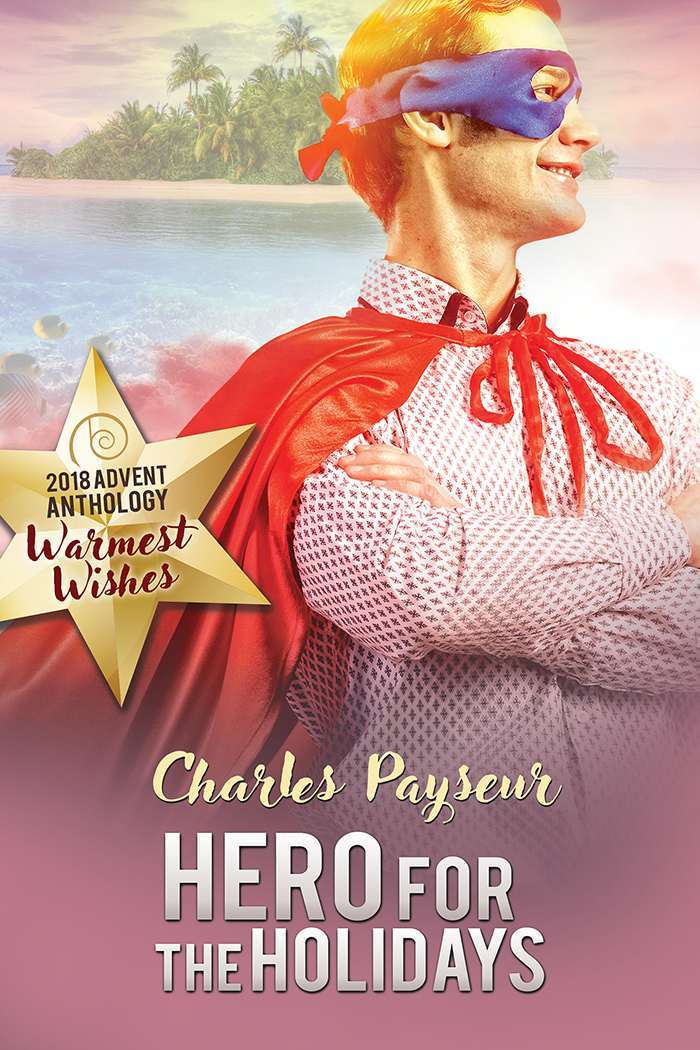 Hero for the Holidays book cover