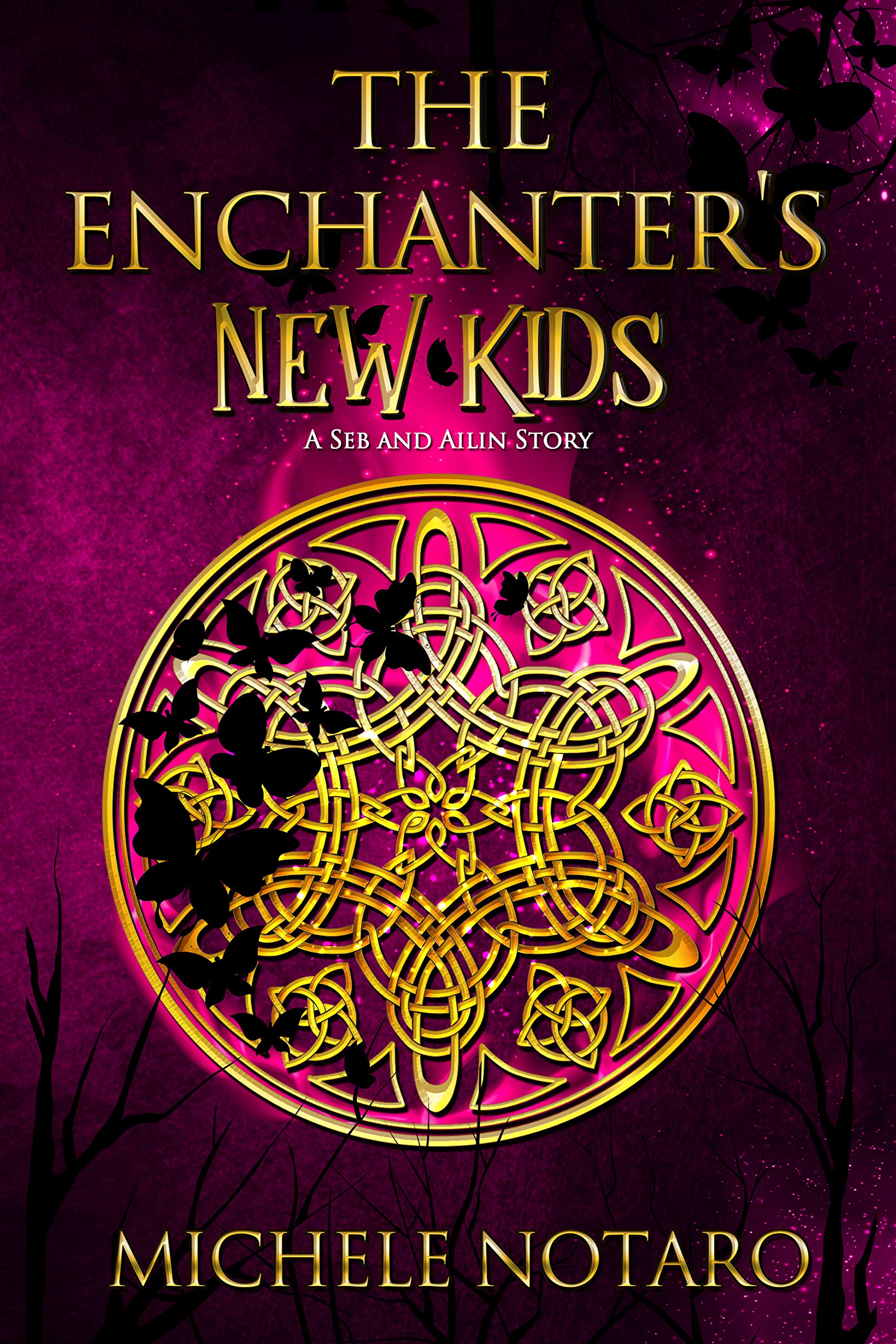 The Enchanter's New Kids book cover