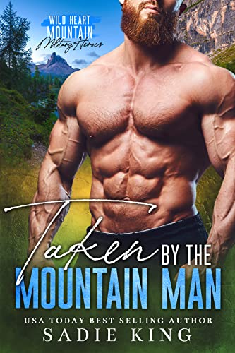 Wild Heart Mountain: Military Heroes book cover 2