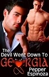 The Devil Went Down To Georgia book cover