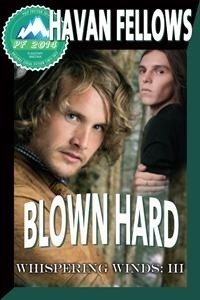 Blown Hard book cover