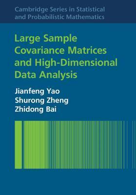 Large Sample Covariance Matrices and High-Dimensional Data Analysis book cover