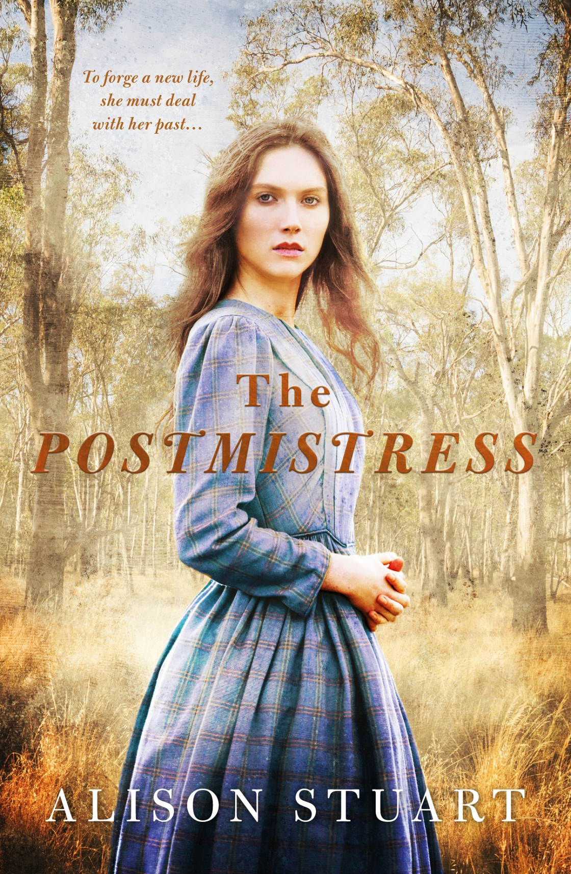 The Postmistress book cover